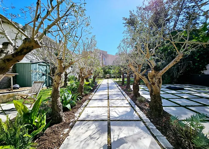 Apartment Le Petit Four 2nd - T3 Climatise Antibes